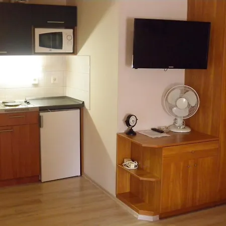 Apartment In Siofok/balaton 19754